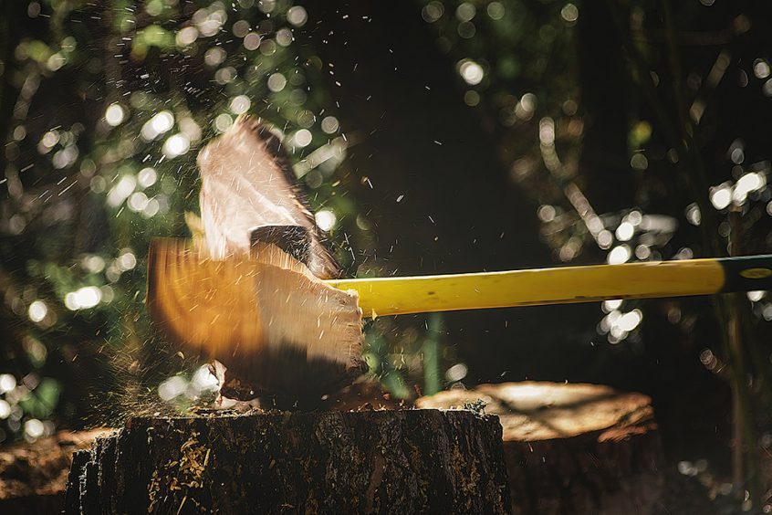 Axe chopping wood